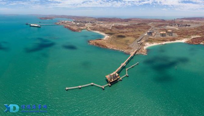 手定向研究 手定向研究